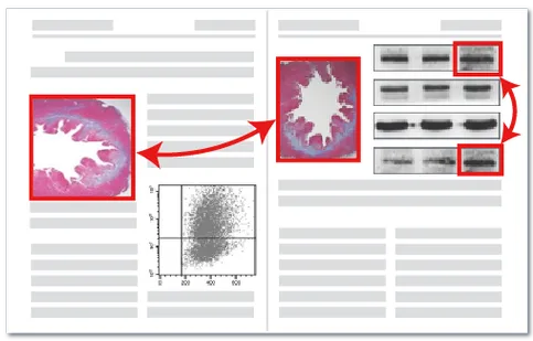 图片重复检测算法